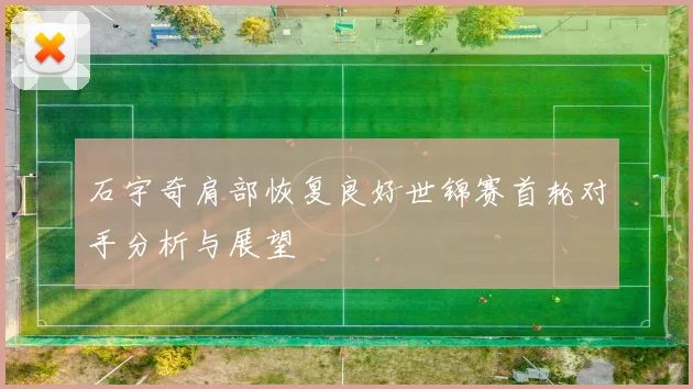 石宇奇肩部恢复良好世锦赛首轮对手分析与展望