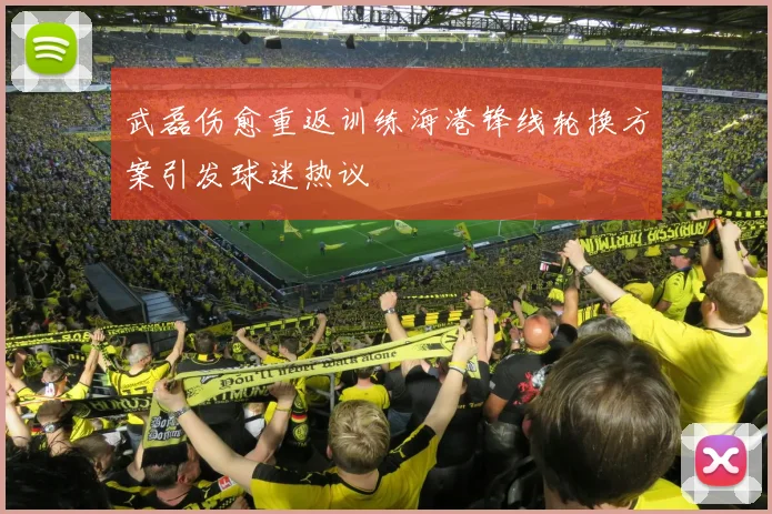 武磊伤愈重返训练海港锋线轮换方案引发球迷热议